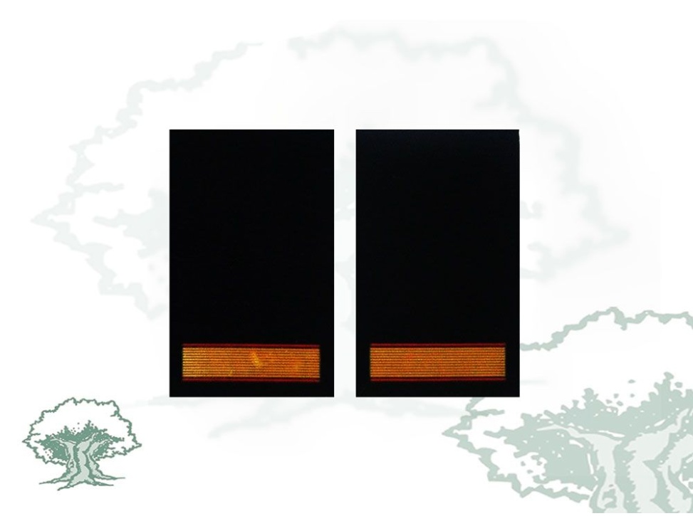 Hombreras Cabo 1º GRS Guardia Civil antiguas