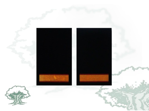 Hombreras Cabo 1º GRS Guardia Civil antiguas