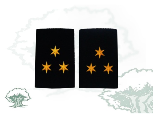 Hombreras Capitán GRS Guardia Civil antiguas