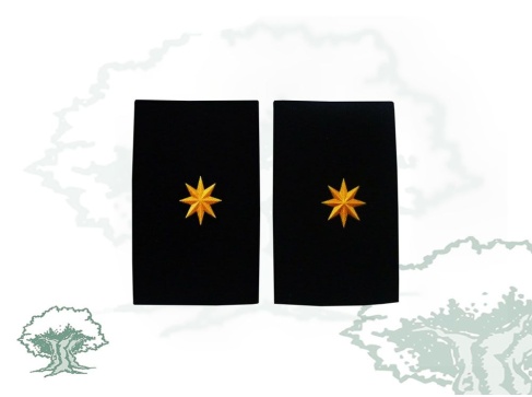 Hombreras Comandante GRS Guardia Civil antiguas