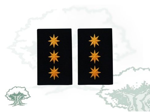 Hombreras Coronel GRS de la Guardia Civil modelo antiguo