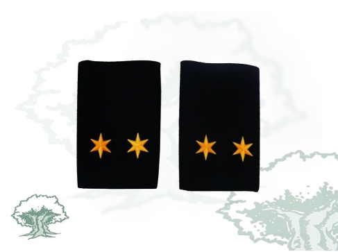 Hombreras Teniente GRS de la Guardia Civil modelo antiguo