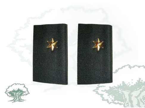 Hombreras Alferez Guardia Civil