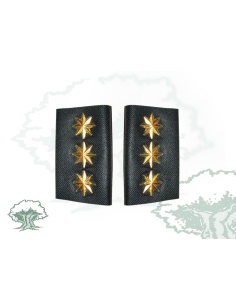 Hombreras Coronel Guardia Civil