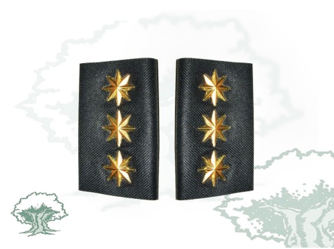 Hombreras Coronel Guardia Civil