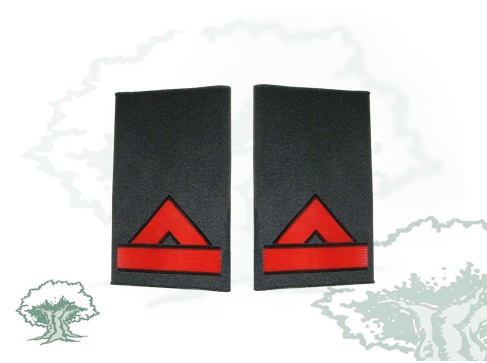 Hombreras Guardia 1º de la Guardia Civil