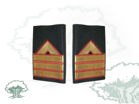 Hombreras Sargento 1º de la Guardia Civil