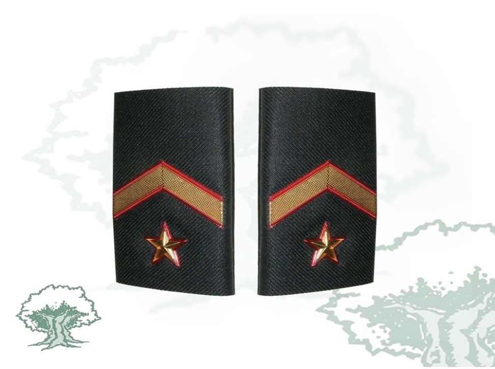 Hombreras Subteniente Guardia Civil
