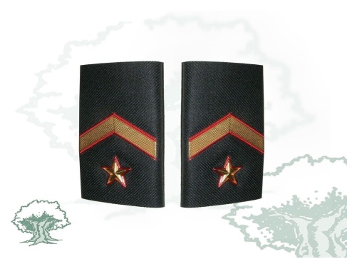Hombreras Subteniente de la Guardia Civil