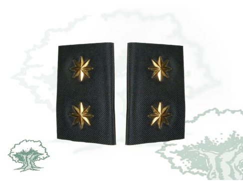 Hombreras Teniente Coronel Guardia Civil
