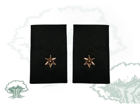Hombreras Alferez GRS de la Guardia Civil
