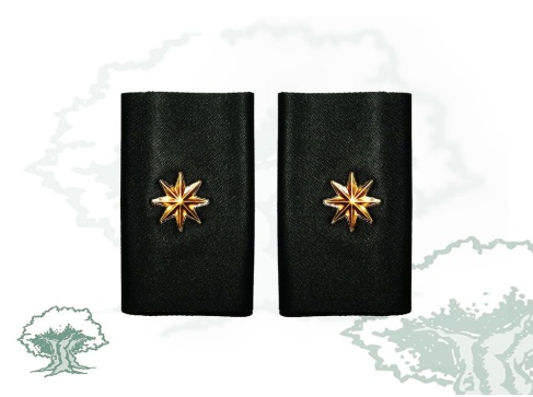 Hombreras Comandante GRS de la Guardia Civil