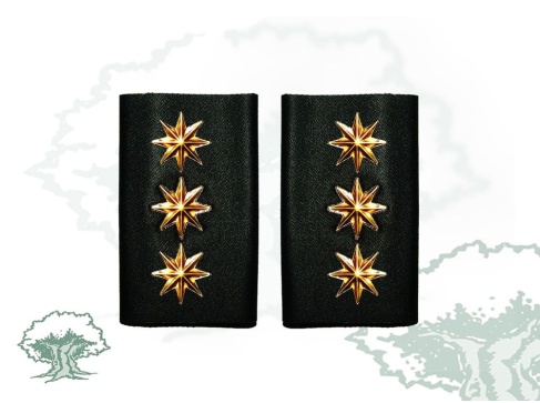 Hombreras Coronel GRS Guardia Civil