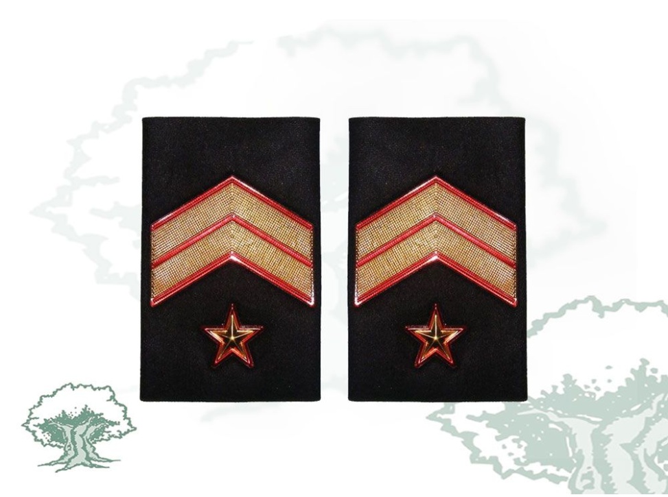 Hombreras Suboficial Mayor GRS Guardia Civil