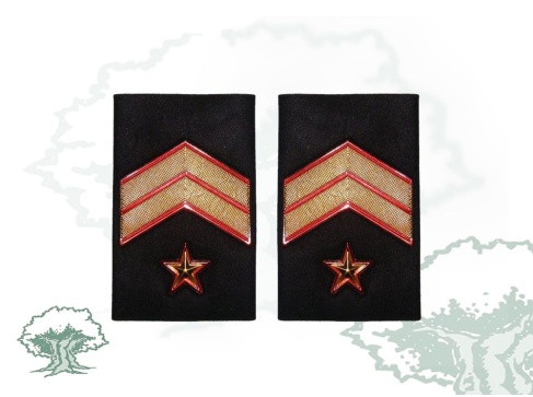 Hombreras Suboficial Mayor GRS Guardia Civil