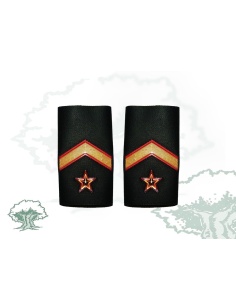 Hombreras Subteniente GRS Guardia Civil