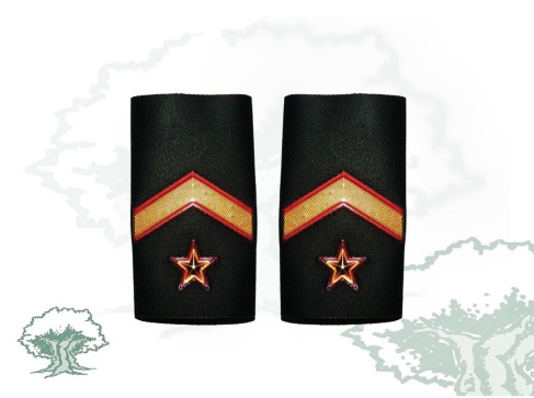 Hombreras Subteniente GRS Guardia Civil