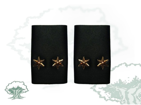 Hombreras Teniente GRS Guardia Civil