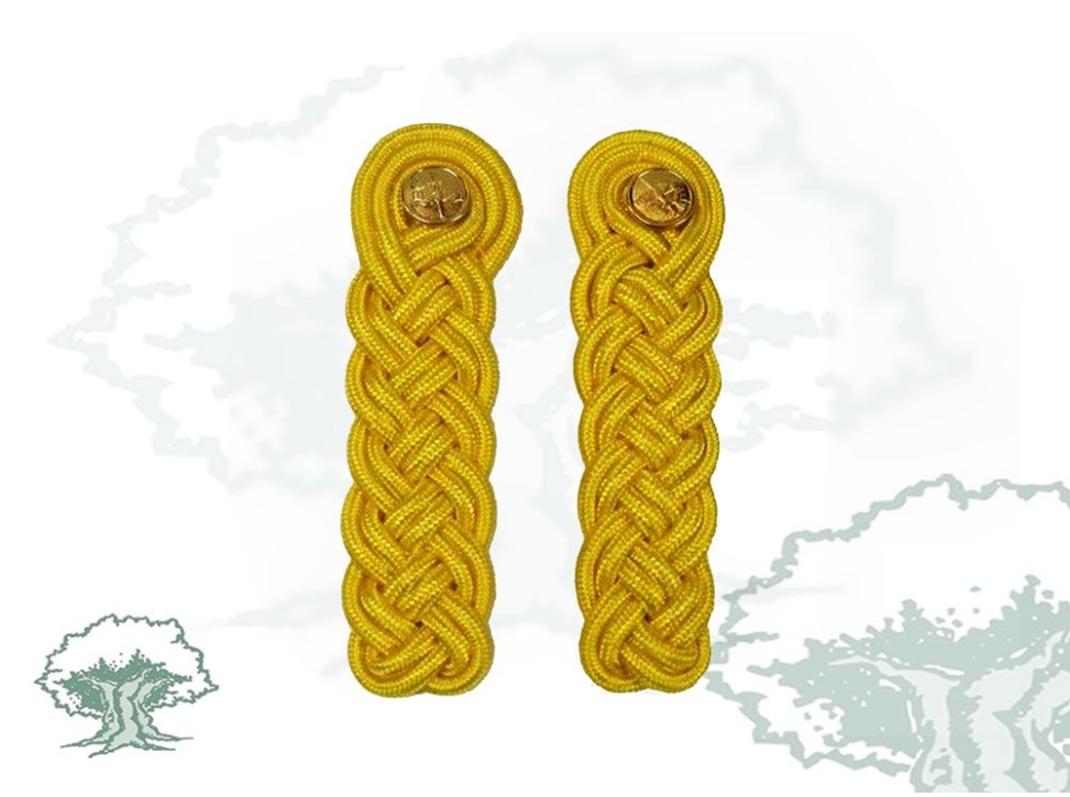 Hombreras rayón adulto