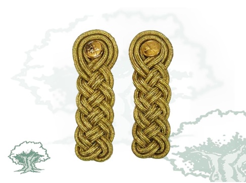 Hombreras de hilo de oro para niño