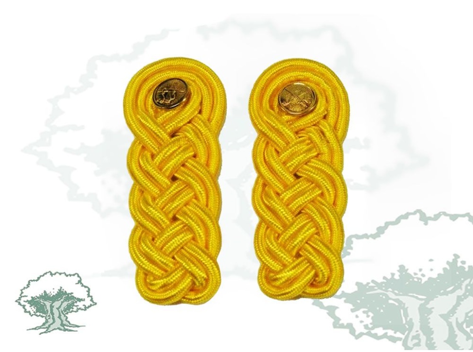 Hombreras rayón niño