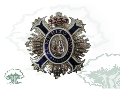 Encomienda de Número de la Orden del Mérito Civil