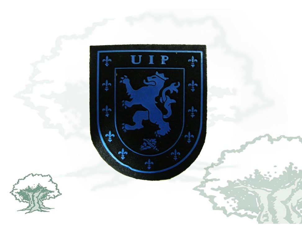 Parche UIP Policía Nacional azul