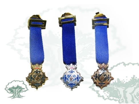 Medalla Mérito Social Penitenciaría miniatura