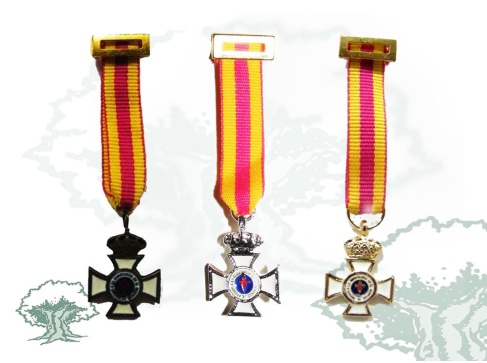 Cruz a la Constancia en el Servicio miniatura