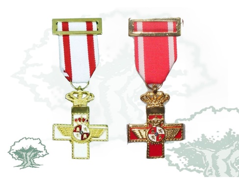 Cruz del Mérito Aeronáutico