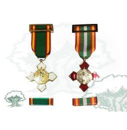 Medalla Orden del Mérito Policial con pasador