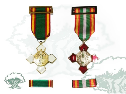 Medalla Orden del Mérito Policial con pasador