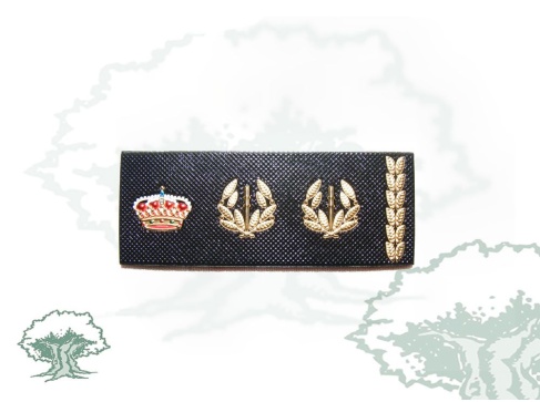 Tira de rango Comisario Policía Nacional