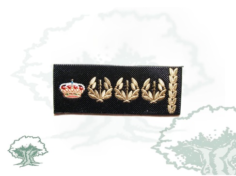 Tira de rango Comisario Principal Policía Nacional