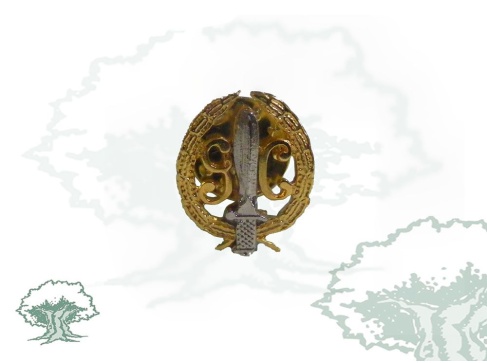 Pin GAR Guardia Civil dorado