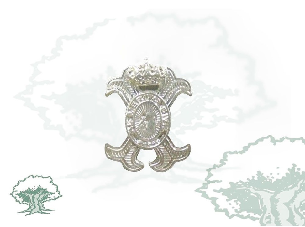 Pin Orden Mérito Civil