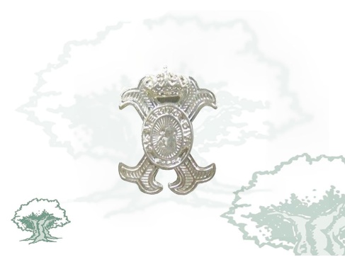 Pin Orden Mérito Civil