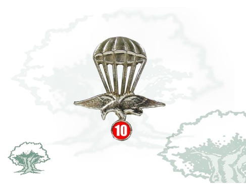 Distintivo Saltos en Paracaídas del Ejército