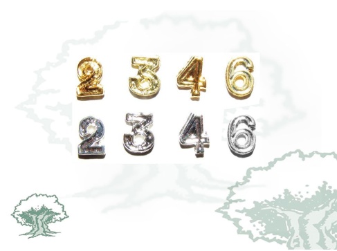 Numerales para medalla o pasador