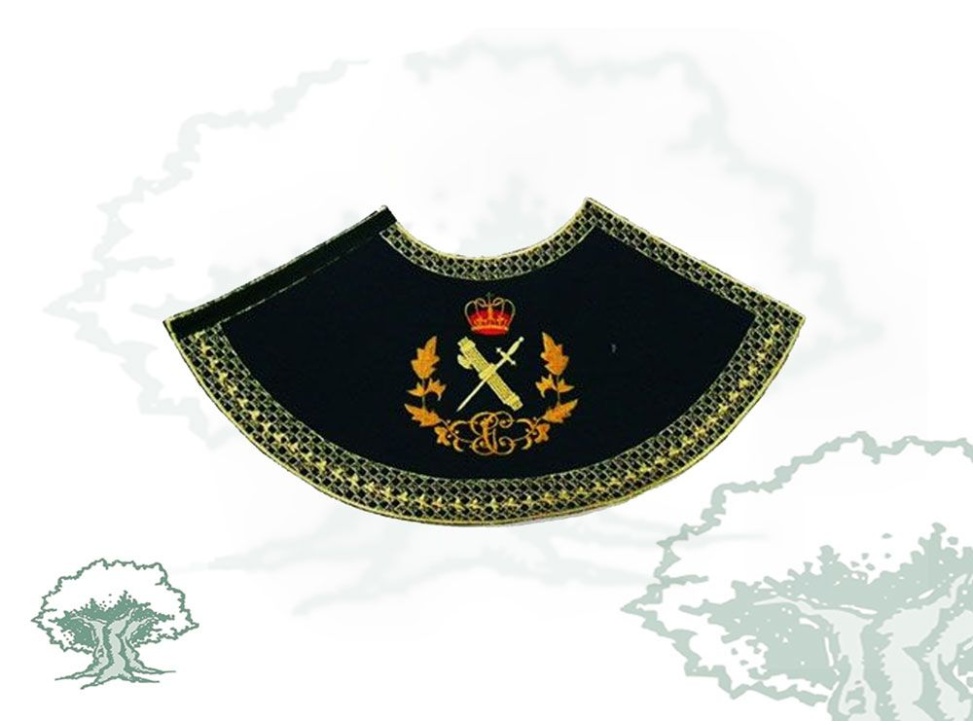 Manto Virgen del Pilar Guardia Civil varios colores