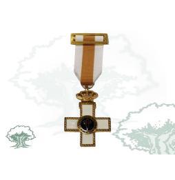 Medalla a la Constancia Militar para Suboficial