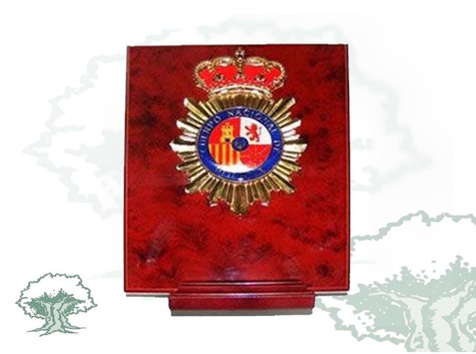 Metopa Policía Nacional