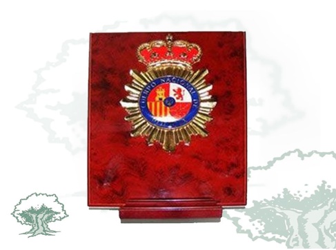 Metopa Policía Nacional