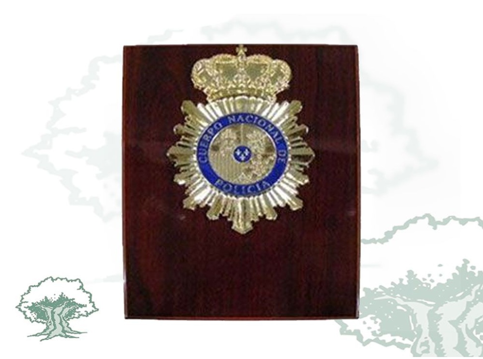 Metopa Policía Nacional