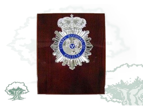 Metopa Policía Nacional