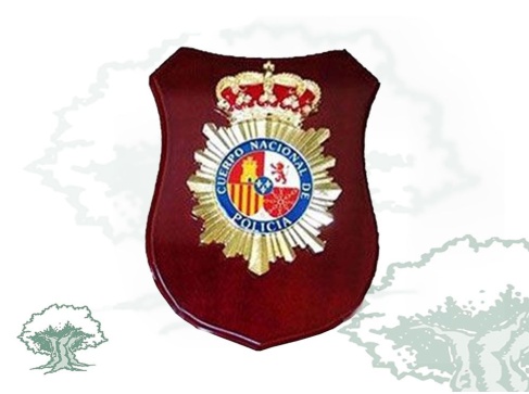 Metopa Policía Nacional