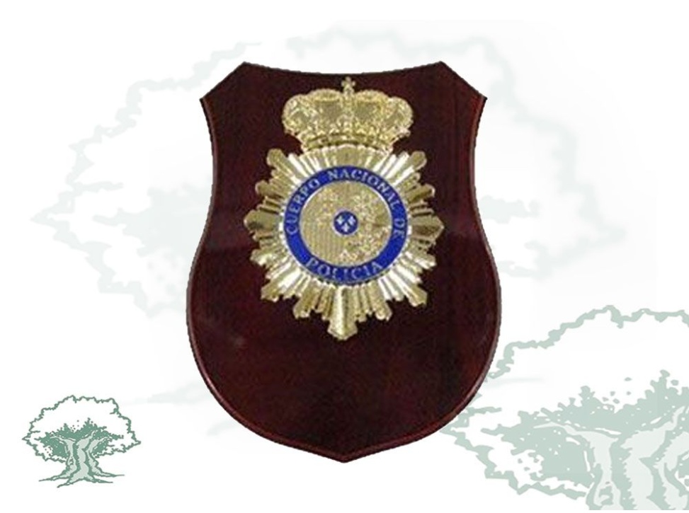 Metopa Policía Nacional