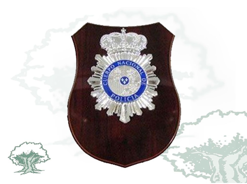 Metopa Policía Nacional