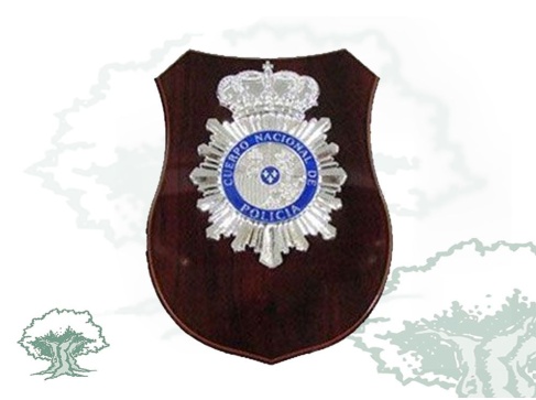 Metopa Policía Nacional