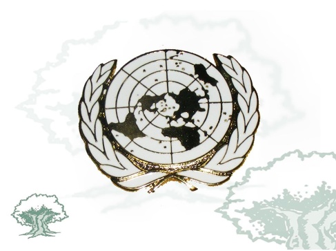 Emblema ONU para boina